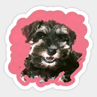 Miniature Schnauzer Puppy Sticker